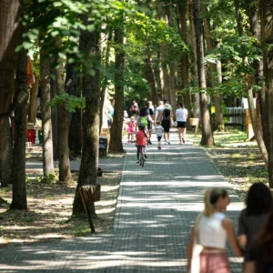 Plimbare in aer liber cu copiii, in mijlocul padurii