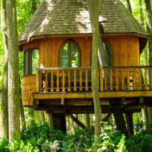 casute in copaci la Edenland Park cazare pentru familii cu copii echitatie la edenland park zooland edenland park parc pentru copii parc de aventura activitati pentru copii locatii pentru copii Edenland Park