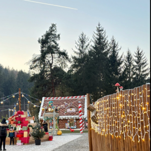 MAGIC PARC RÂȘNOV