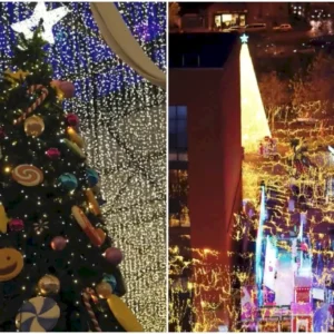 winter-wonderland-c-1260x709