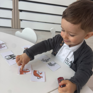 Rawr kindergarten